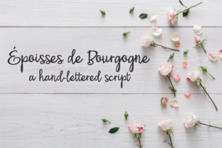 PN Époisses De Bourgogne Font Review for Web Design